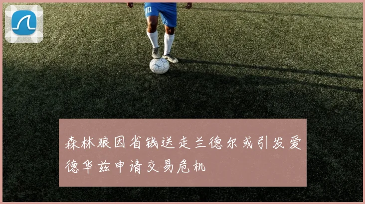 森林狼因省钱送走兰德尔或引发爱德华兹申请交易危机